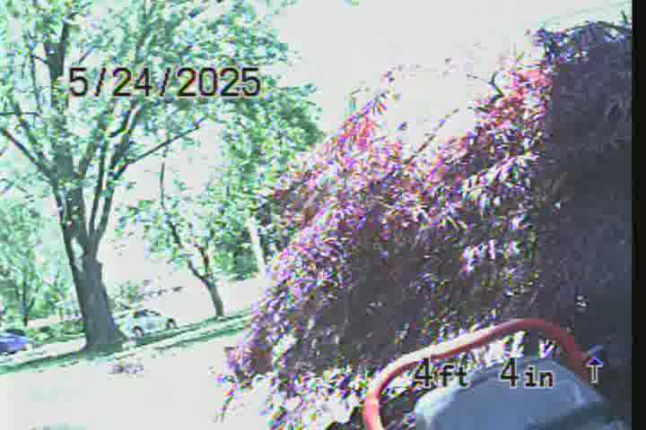 Frame
